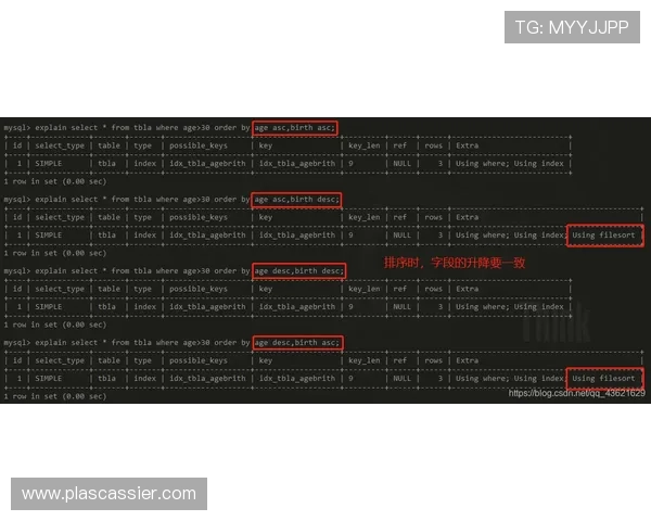 乐博真人下载官网版本更新日志,掌握最新游戏内容和优化措施