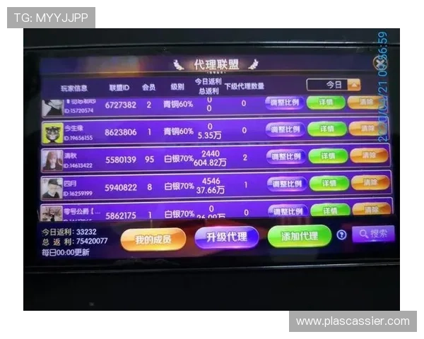 提升游戏娱乐体验：选择正规ag电子游戏网站的五大关键因素全面分析